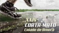 22-11-2015 - XXVI Corta-Mato Cidade de Amora.